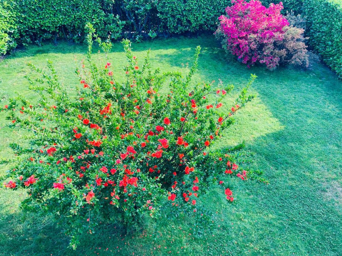 Appartamento Con Giardino Al Melograno Locarno Exterior photo